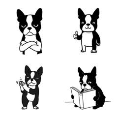 Cute Boston Terrier Emoji (Pencil)