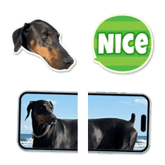 Doberman John Sticker Emoji