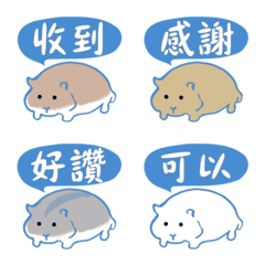 Cute hamster loves to talk!Sky blue