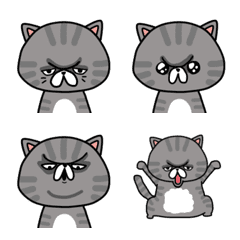 exotic short hair  cat emoji