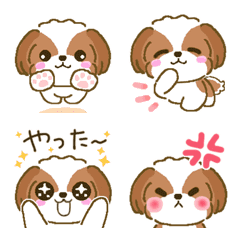 Moving Fluffy Shih Tzu (Gold White)No.2