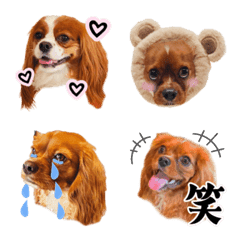 Cavalier RobiAsta Emoji