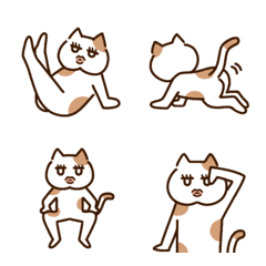 IYKYK cat emoji