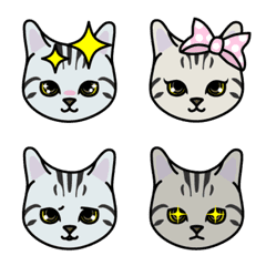 Various American Shorthair Emoji