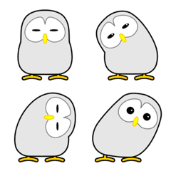 All owls