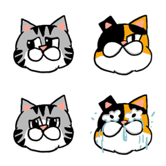 Calico cat with her sis -emoji