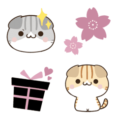 Cute word scottish fold move Emoji