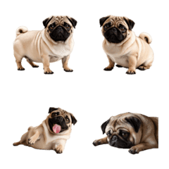 Simple Pug Emoji