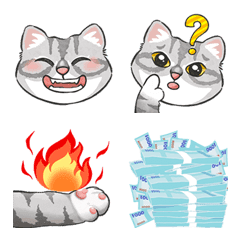 Little gray cat daily smiley stickers