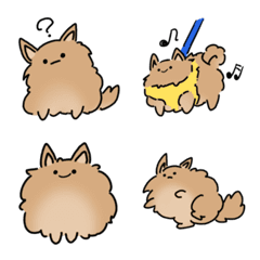 Laidback Pomeranian