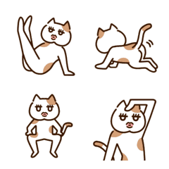 IYKYK cat emoji Revised version
