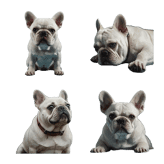 French Bulldog Emoji -White-