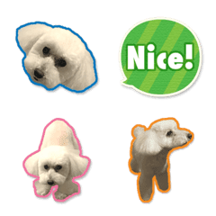 Toy Poodle Tomato Sticker Emoji 3