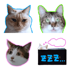 KYM_Emoji