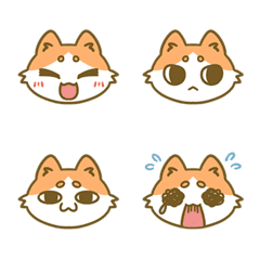 Look is a cat