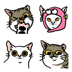 Cats are our family 1