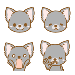 INUYAEmoji(black chihuahua)2-toYvu-