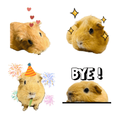 來自鼠星的薯條