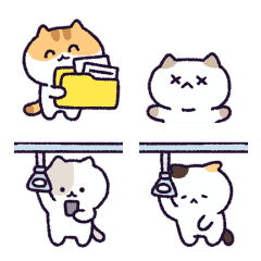 แมวแมวต้องรอด