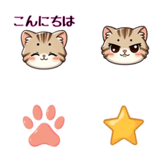 Fluffy Tabby! Greetings & Simple Emoji