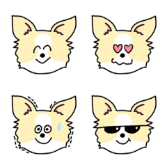 one's pet dog11