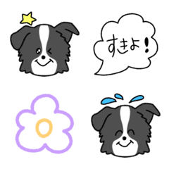 one's pet dog12