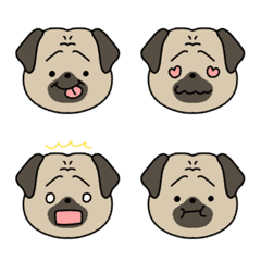 one's pet dog13
