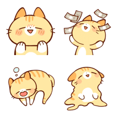 ちょっとかわったチャトラネコ