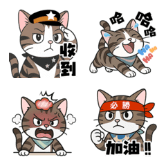 拿鐵貓的生活小劇場