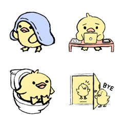 Little Chick Daily Life
