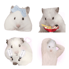 動く！ゆけゆけはむちゃん！