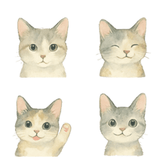 everyday use cats Emoji01