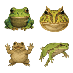 Real Frog Emoji 01