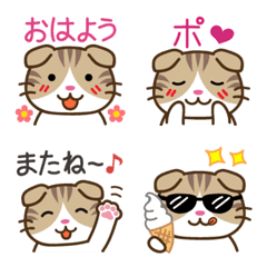 Scottish Fold Emojio3
