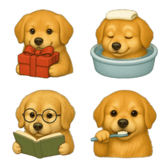 ใช้ชีวิตและฤดูกาลกับโกลเด้นรีทรีฟเวอร์