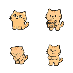 Orange Cat Orange Cat