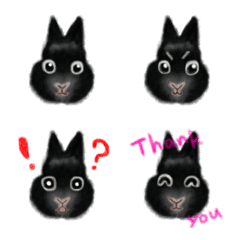 ほんわかうちの子絵文字【ブラックちゃん】