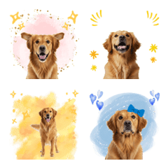 DOG GOOD Emoji24