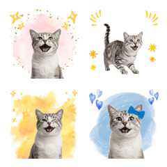CAT GOOD Emoji9