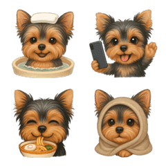 요크셔테리어와 함께하는 일상2