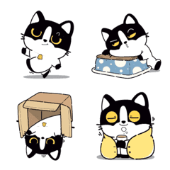 Catster so lazy all day long