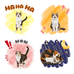 CAT GOOD Emoji10