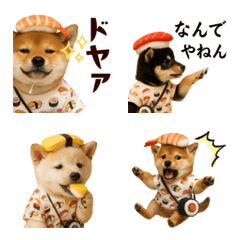 SUSHI Shiba puppies Emoji