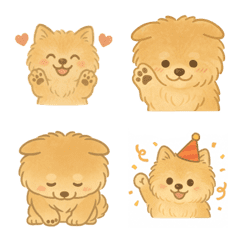 Cute healing Pomeranian