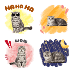 CAT GOOD Emoji11