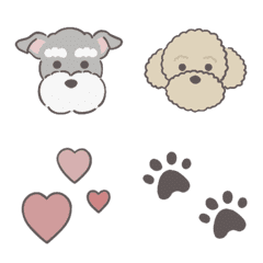 Schnauzer & Toy poodle