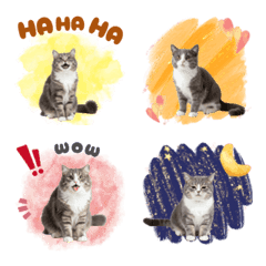 CAT GOOD Emoji14