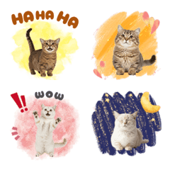 CAT GOOD Emoji16