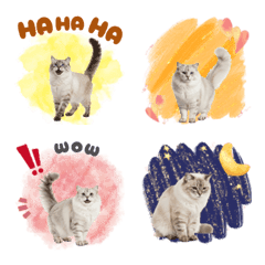 CAT GOOD Emoji17