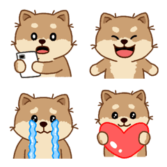Cute Shiba Inu 'Malang' Emoji